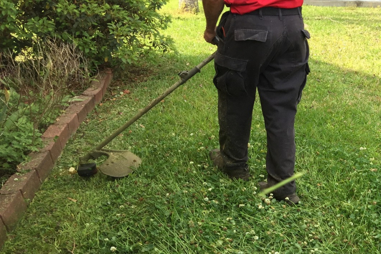 Line Trimming on each service